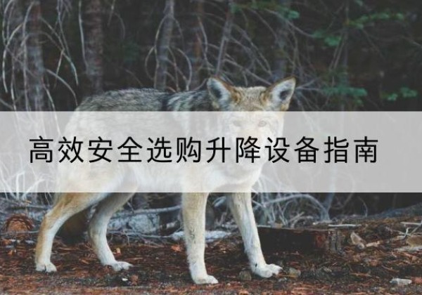 贡觉升降货梯厂家推荐-*安全选购升降设备指南