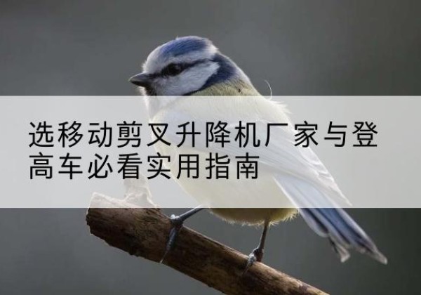 贡觉电动升降机厂家-选移动剪叉升降机厂家与登高车必看实用指南